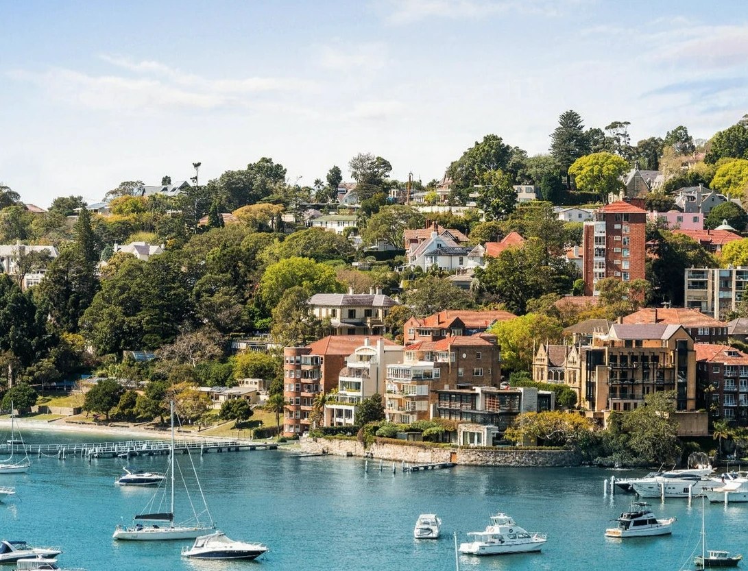 Darling Point apartments and homes rising above the harbour, with boats moored in the bay